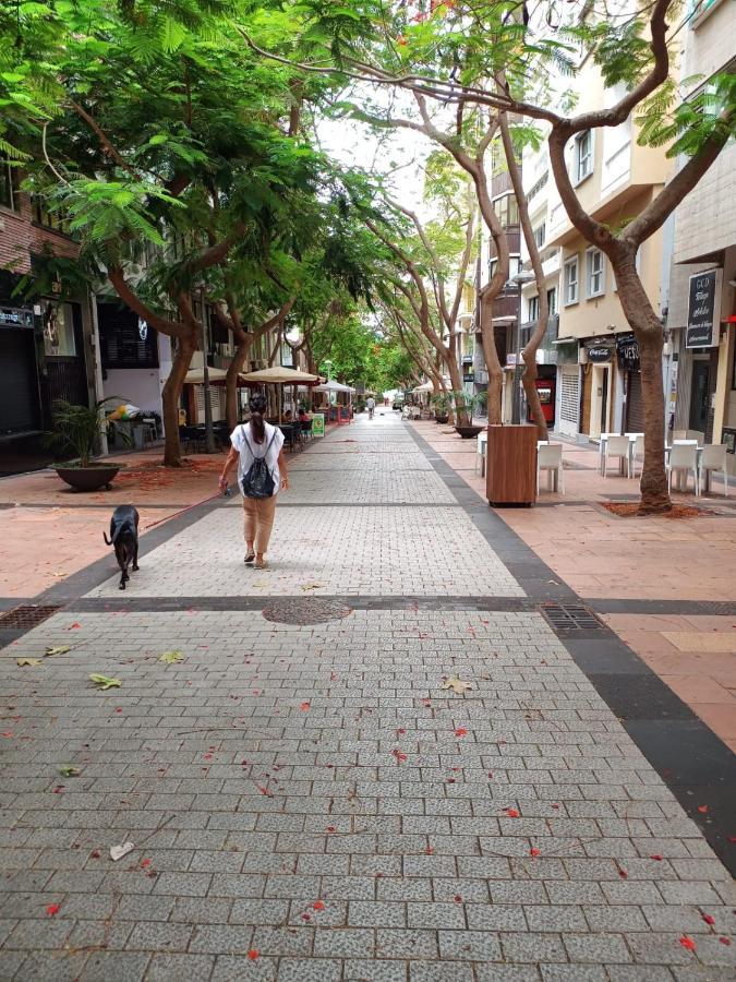 Center Santa Cruz, Alojamiento Centrico Con Gran Terraza, Cocina , Salon Y Banos, Todo Privado Esterno foto