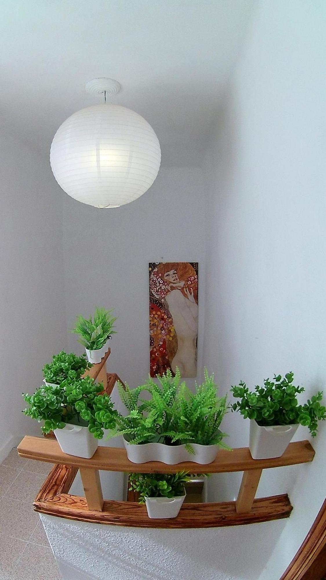 Center Santa Cruz, Alojamiento Centrico Con Gran Terraza, Cocina , Salon Y Banos, Todo Privado Esterno foto